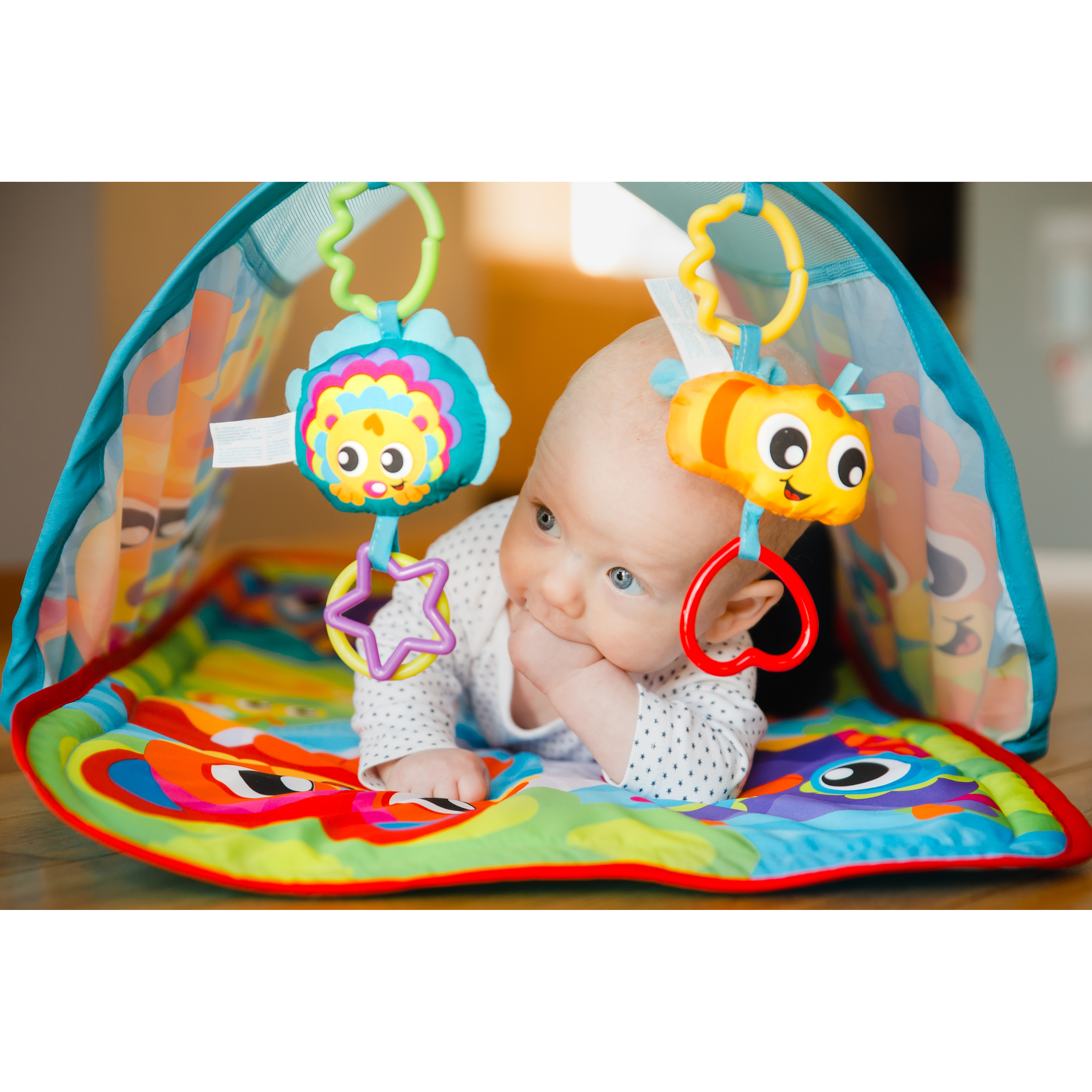 Thảm chơi đường hầm Playgro Honey Bee Bear Activity Tunnel Gym, cho bé sơ sinh đến 24 tháng