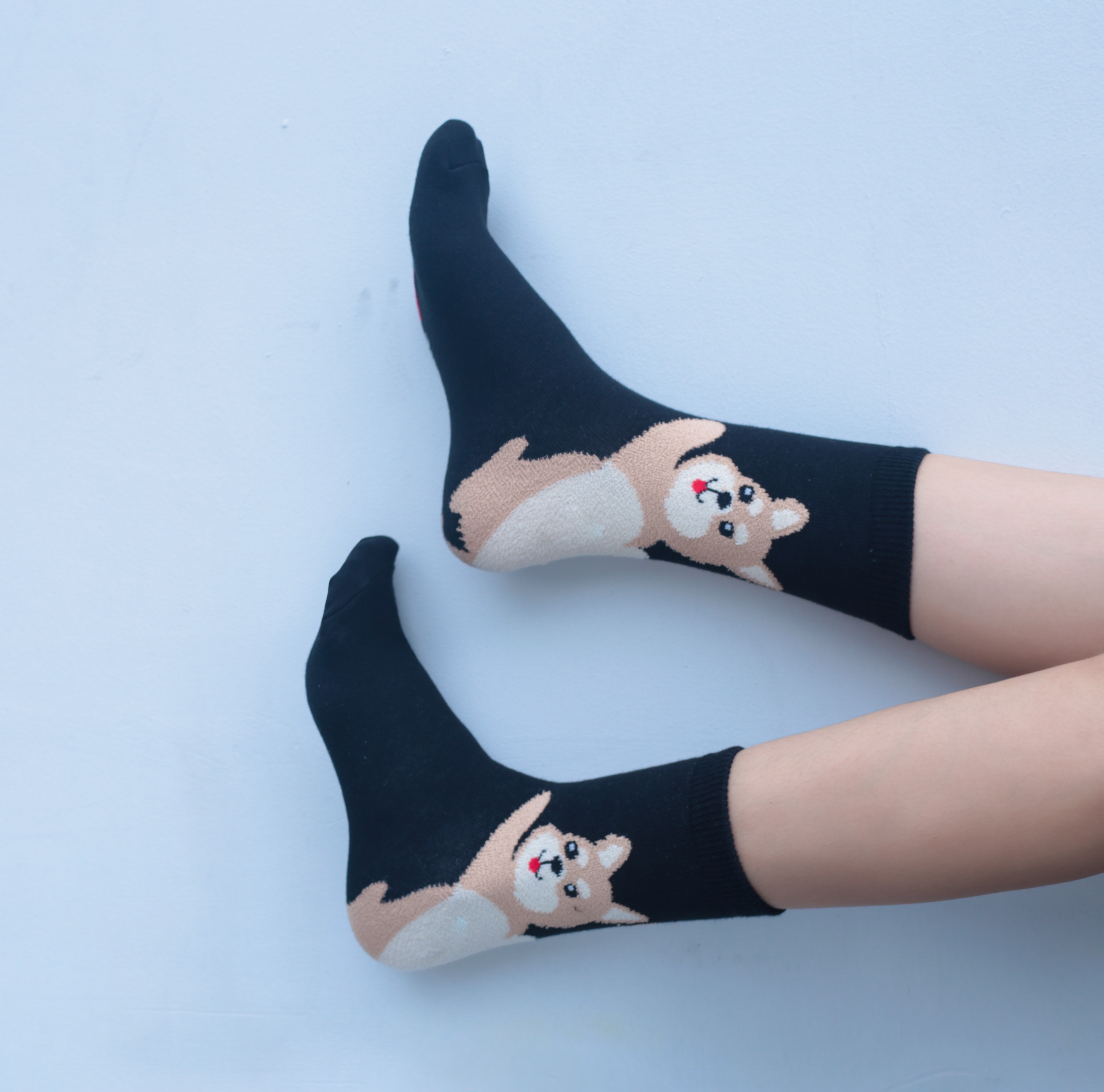 Tất vớ Nữ cao cấp, nhập khẩu hàn quốc thương hiệu KIKIYA SOCKS W-C-083