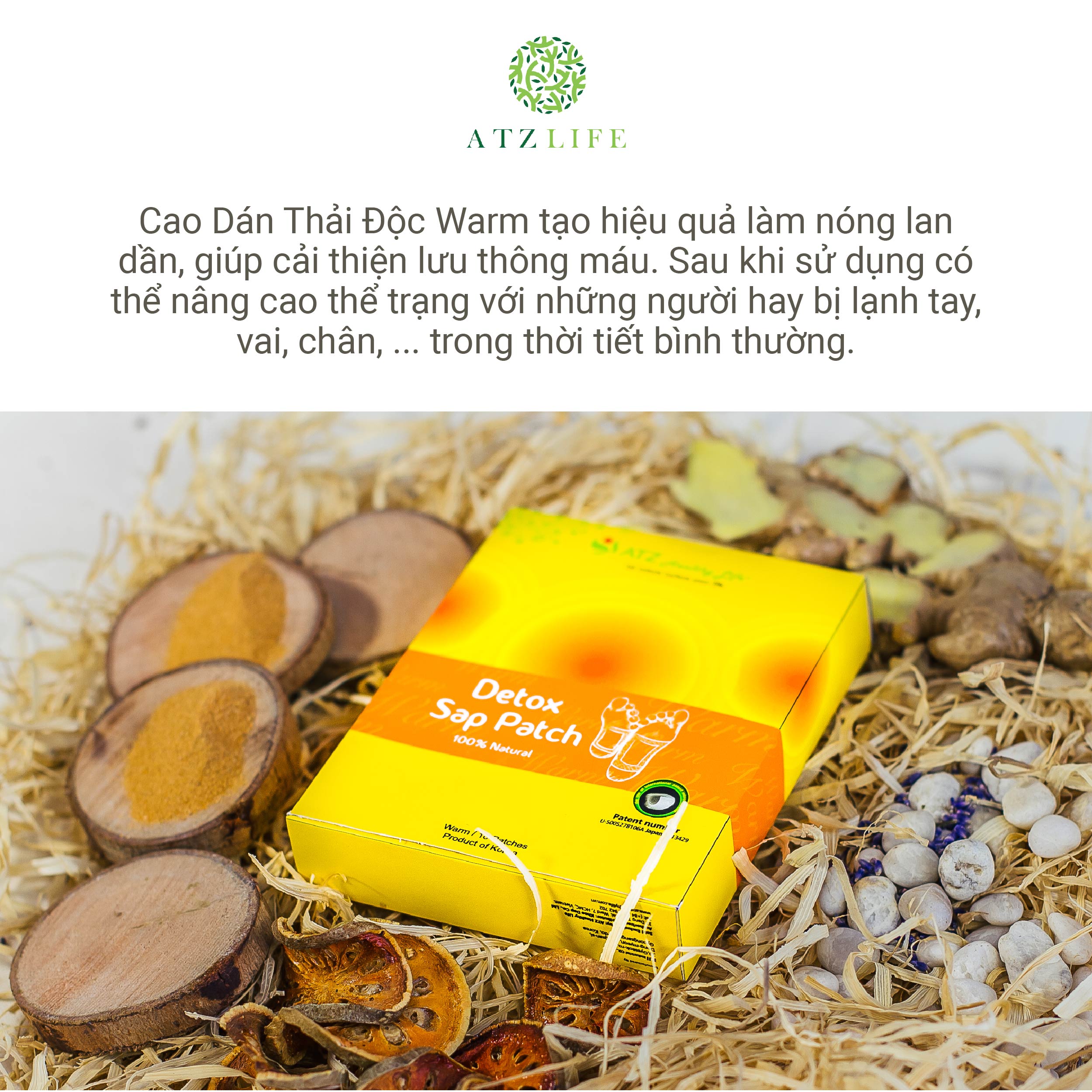 Cao dán thải độc Warm