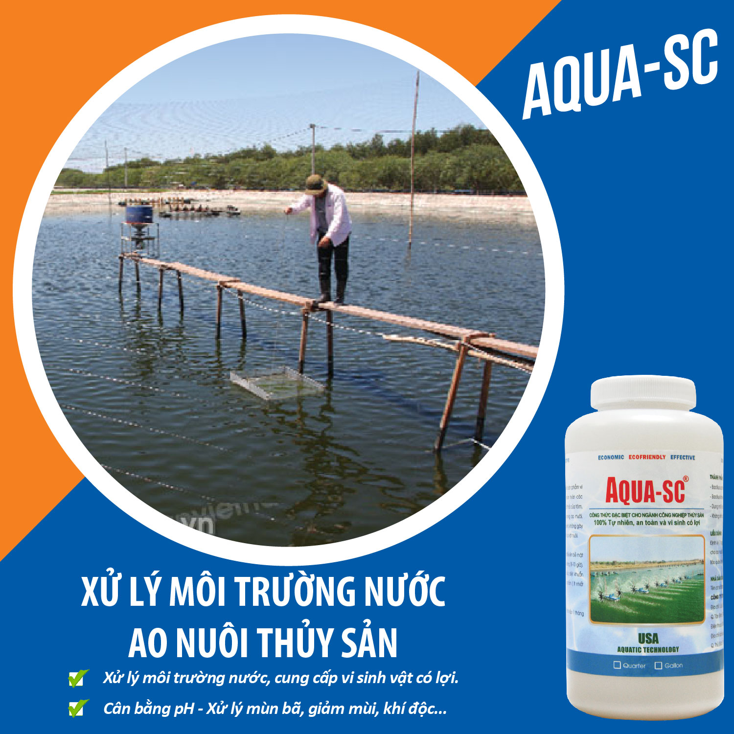 AQUA SC - Vi sinh xử lý nước hồ cá cảnh, cá koi, cá chép, nước ao nuôi trồng thủy sản - Chai 1 quarter