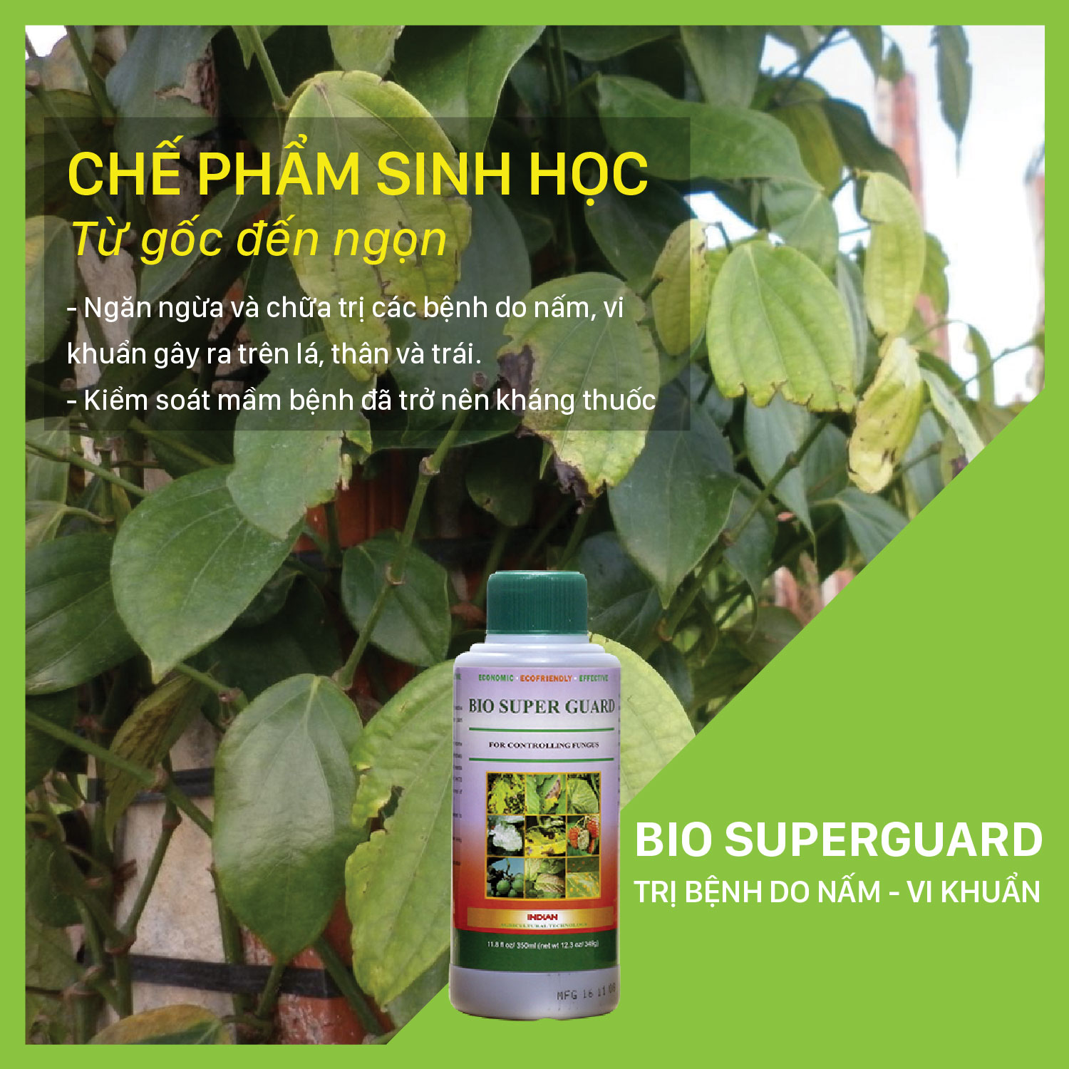 BIO SUPER GUARD - Chai 350ml Phòng trừ bệnh nấm, thán thư, phấn trắng, sương mai