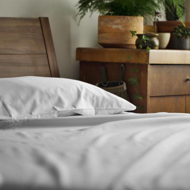 Bộ drap giường cotton trắng A cao cấp