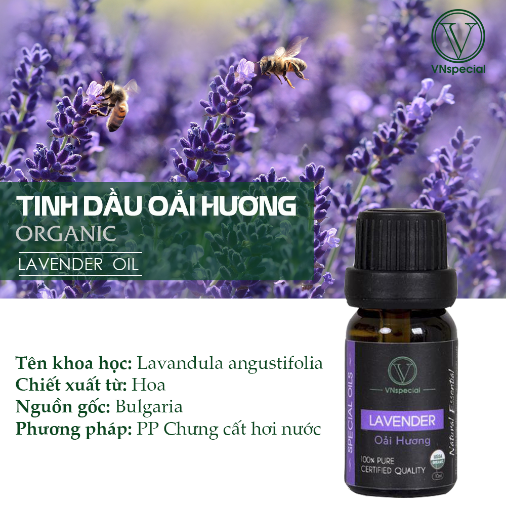 Tinh Dầu Ô Tô | Tinh Dầu Hữu Cơ Oải Hương | Organic Lavender Oil | Khử mùi xe hơi, tủ quần áo – Vnspecial Oils - USDA