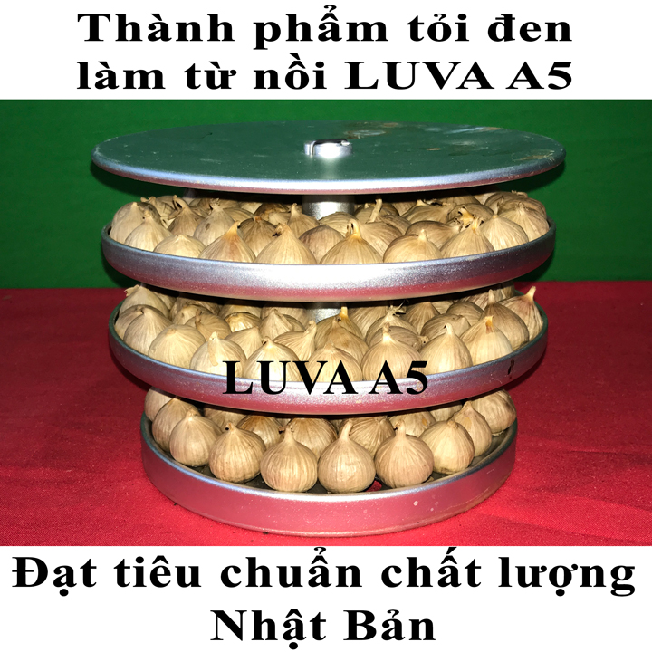 Máy làm tỏi đen công nghệ Nhật Bản LUVA A5(5L)