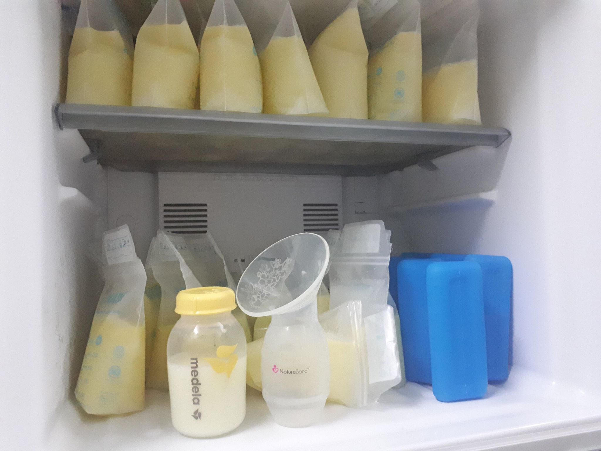 Máy Hút Sữa Silicone NatureBond 3 Mức Hút Chứng Nhận FDA Model 2019 -  Hàng Chính Hãng