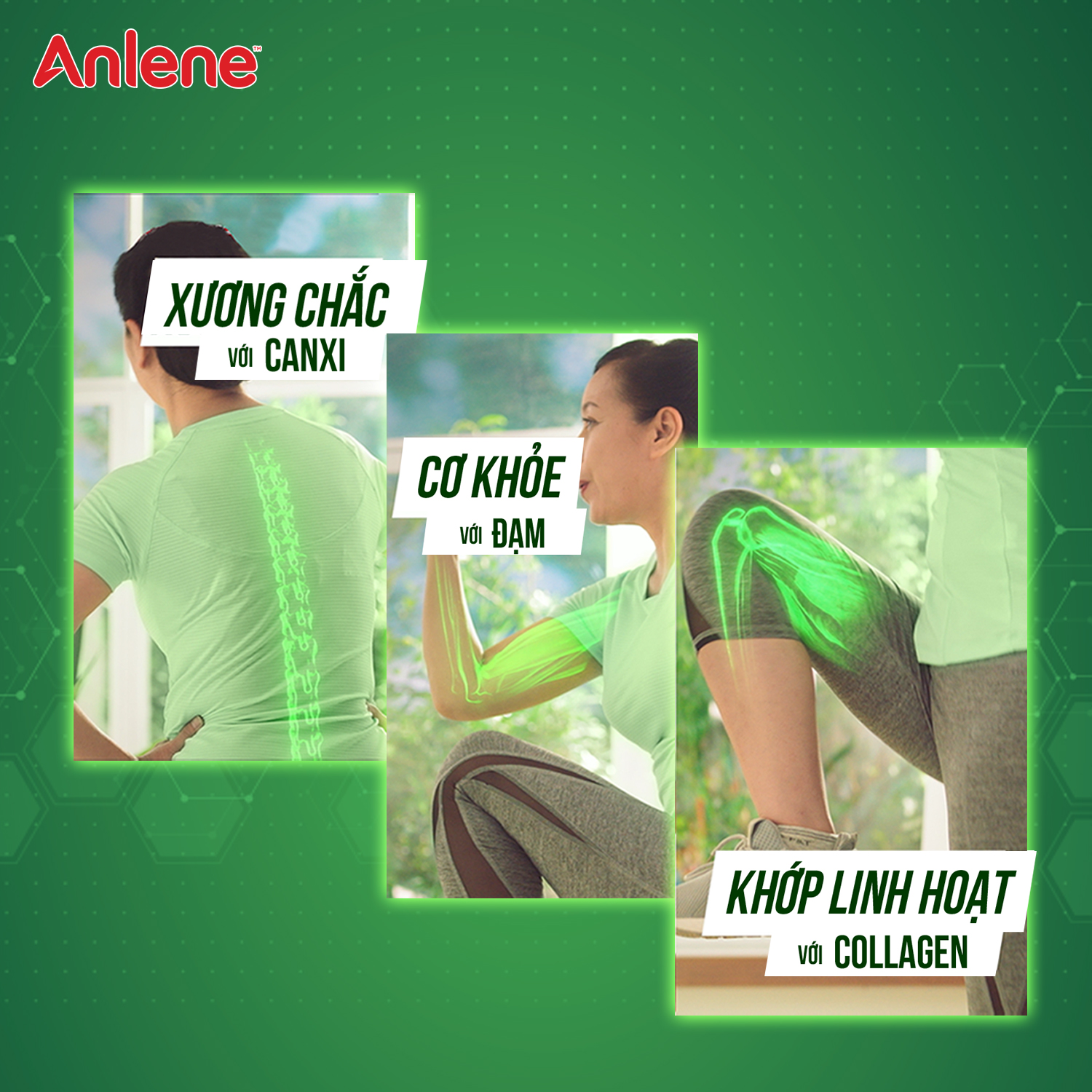 Combo 2 Sữa Bột Anlene Cà Phê Hộp 310g