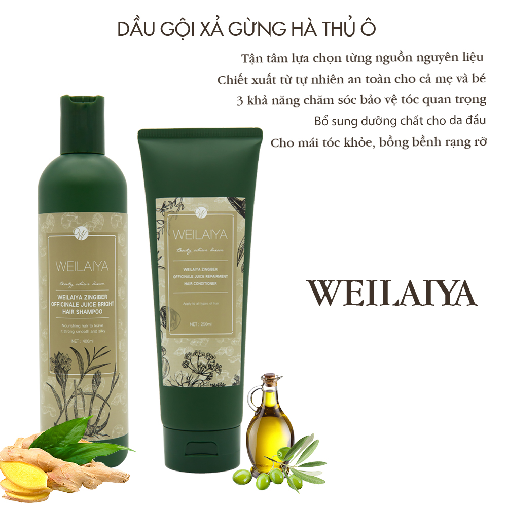 Bộ Dầu Gội Xả Hỗ Trợ Trị Rụng Tóc Kích Thích Mọc Tóc Weilaiya Tinh Chất Gừng Hà Thủ Ô Cao Cấp Ngăn Ngừa Rụng Tóc Lưu Thông Mạch Máu Hương Thảo Dược - Sản Phẩm Chính Hãng