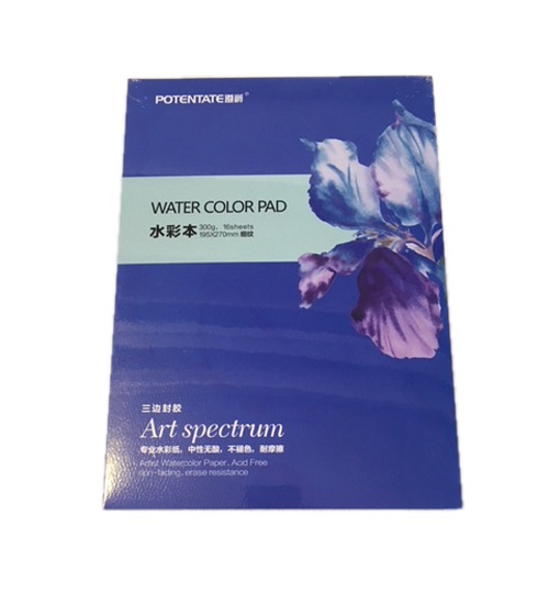 Giấy vẽ màu nước Water Color Pad định lượng 300g A4 (Giao mẫu ngẫu nhiên)