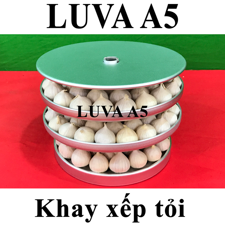 Máy làm tỏi đen công nghệ Nhật Bản LUVA A5(5L)