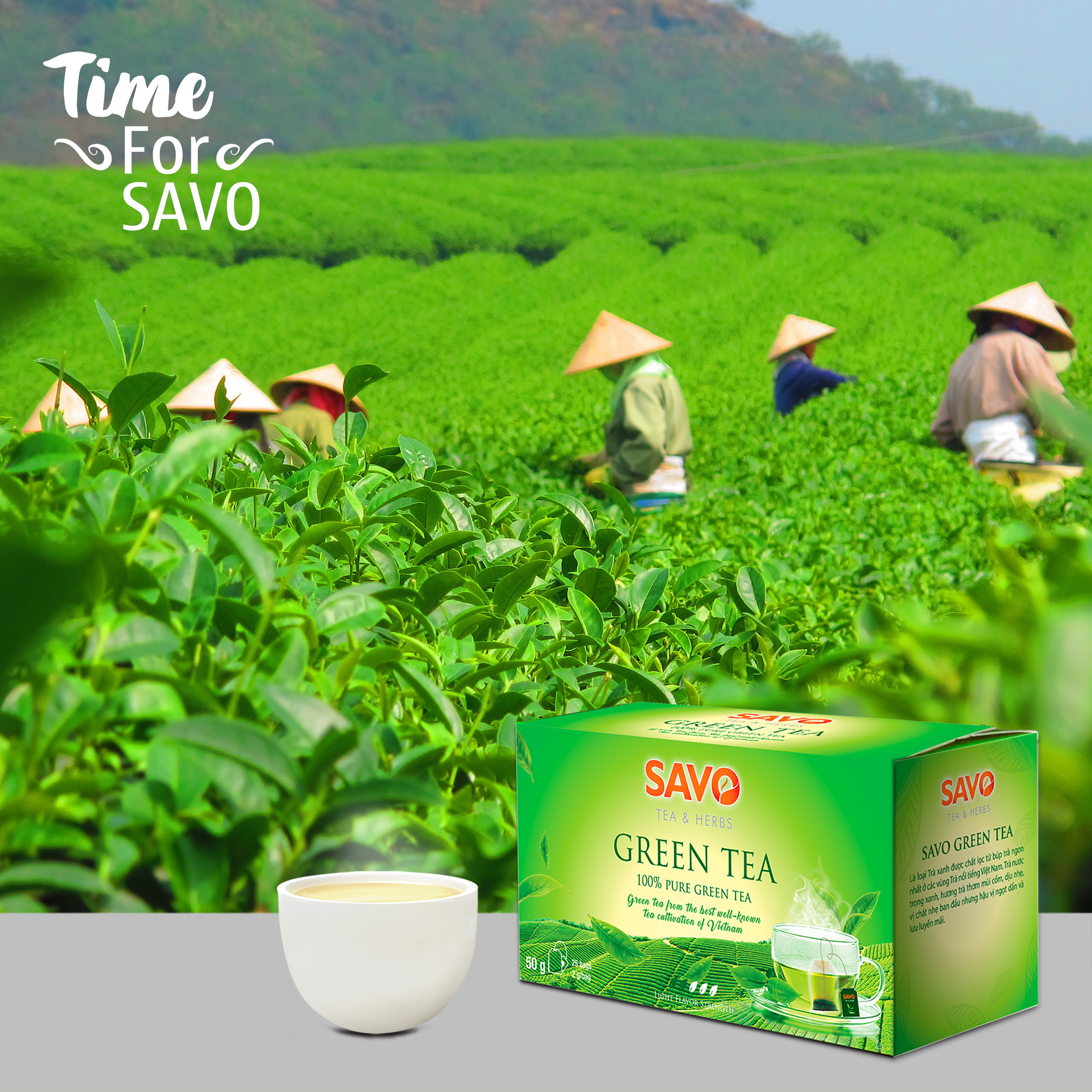 Trà Xanh SAVO Tea túi lọc (Green Tea) - Hộp 25 Gói x 2g