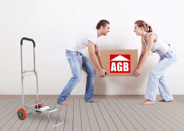 Xe Đẩy Xếp Gọn Thái Sơn - tải trọng 50 Kg chất liệu inox ( HÀNG CHÍNH HÃNG - ĐỔI TRẢ MIỄN PHÍ )