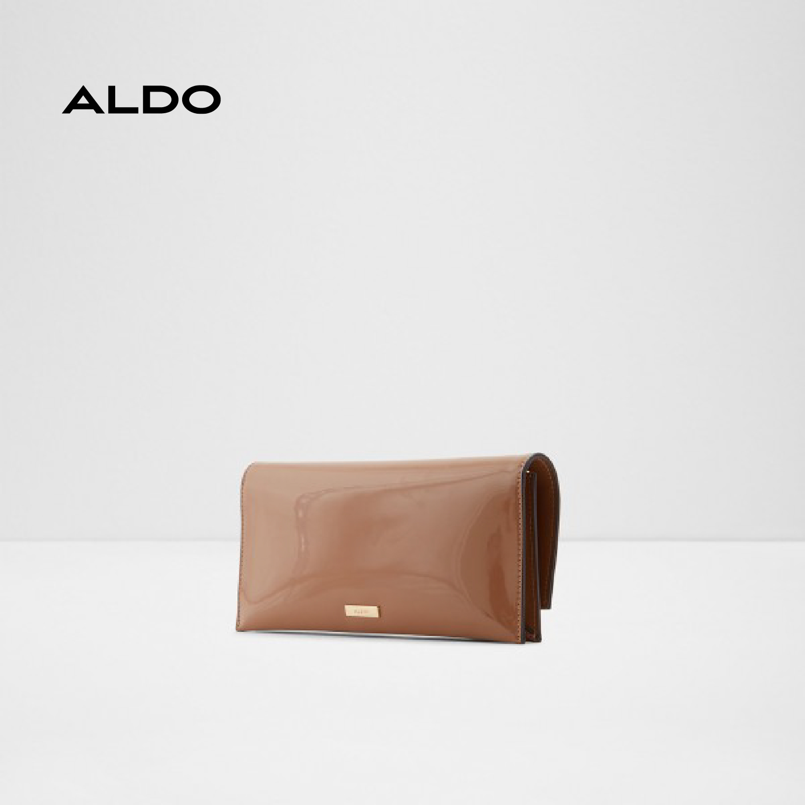 Túi cầm tay nữ ALDO TARAZED Dark Brown