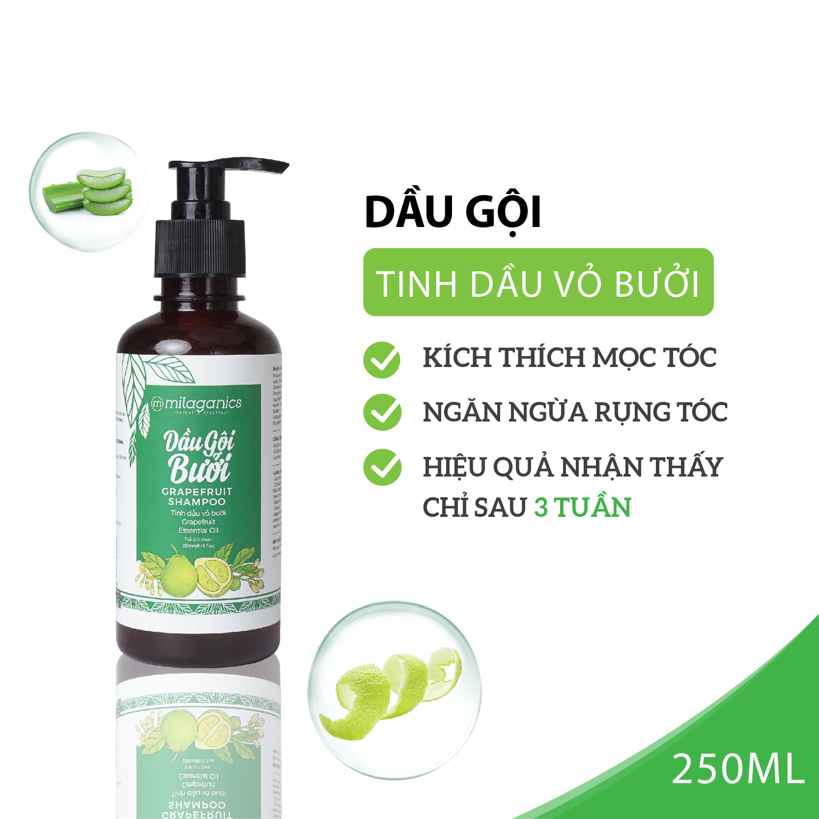 Hộp quà Best Seller Milaganics Ý Nghĩa Giành Tặng Bạn Gái, Tặng Vợ, Tặng Mẹ Kèm Thiệp Chúc Mừng