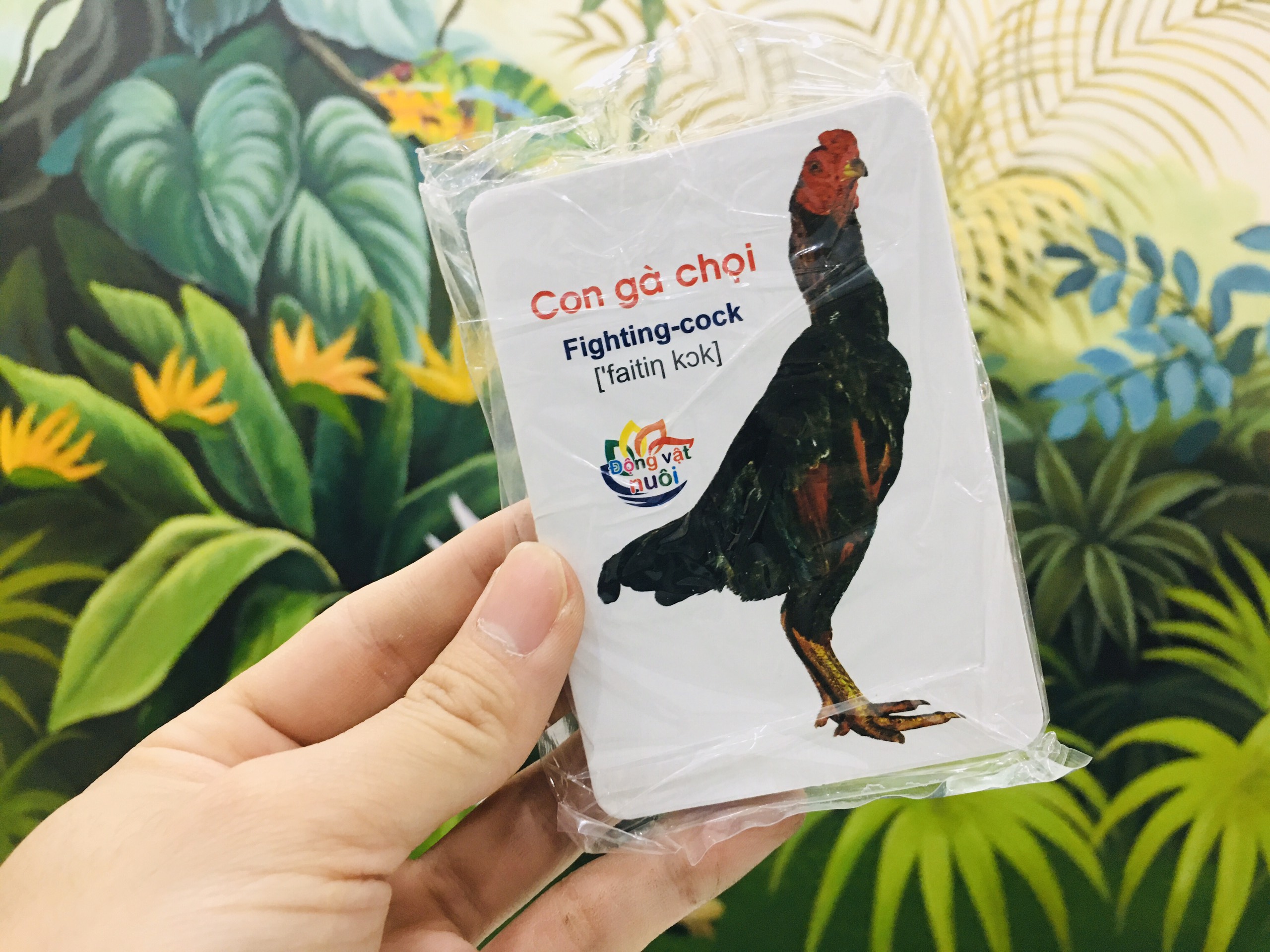 Thẻ Học Thông Minh Flashcard Song Ngữ Cho Bé