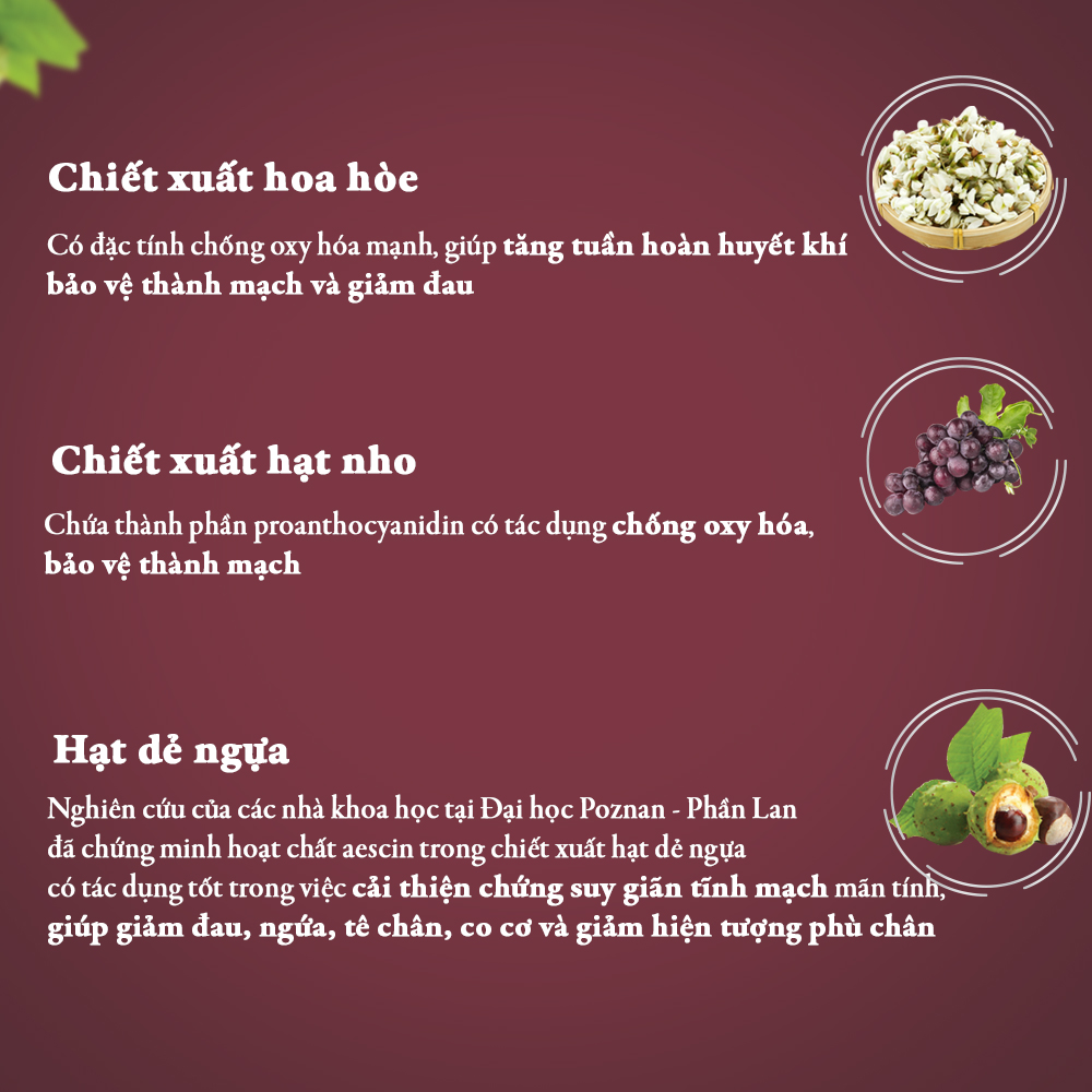 Viên Uống Hỗ Trợ Điều Trị Bệnh Suy Giãn Tĩnh Mạch Vascovein , Chiết Xuất Từ Hạt Dẻ Ngựa - Nguyên Liệu Nhập Khẩu Châu Âu