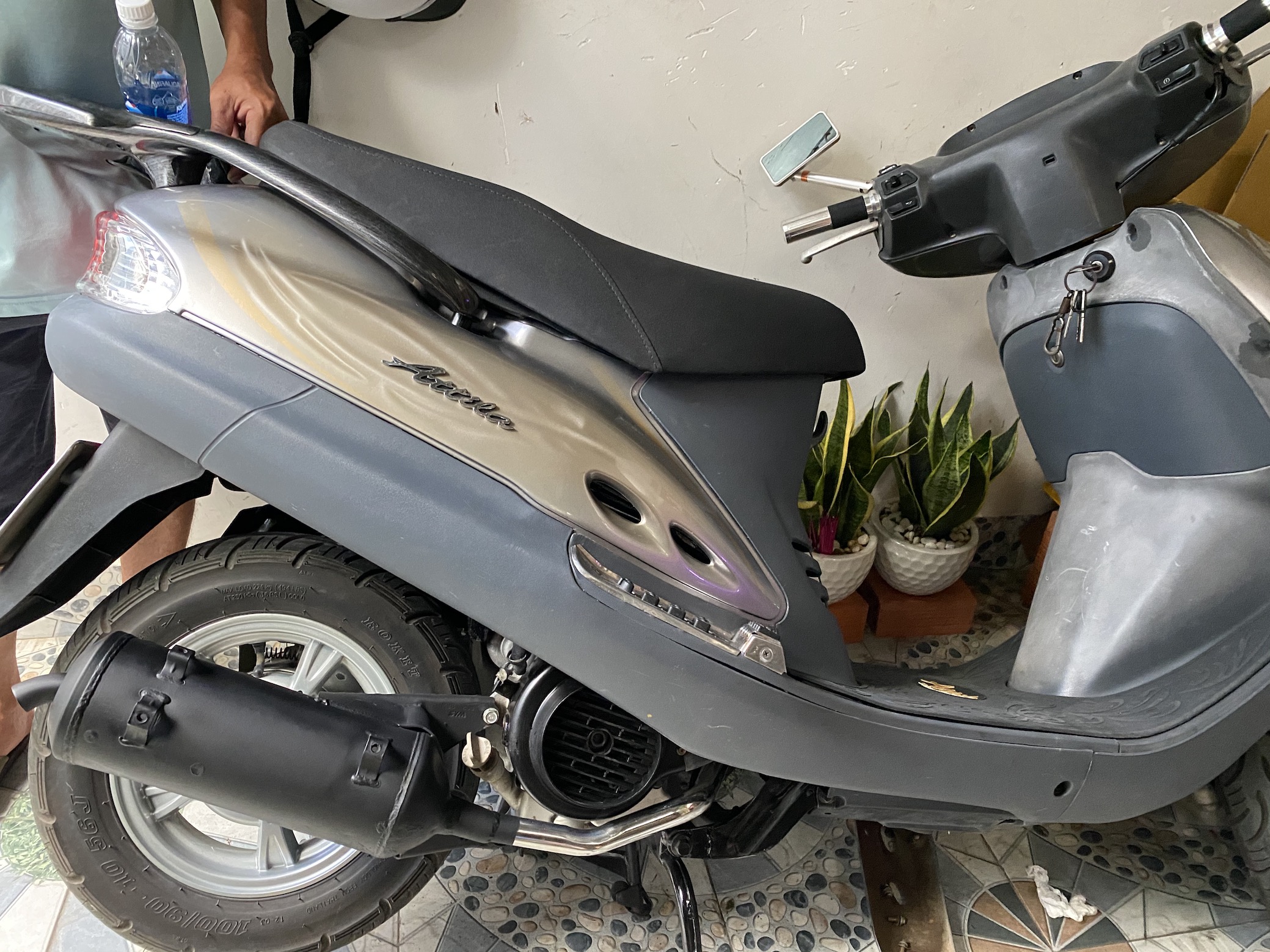 Cổ pô inox Attila 1 2 3 4 / Shark /elizabeth xăng cơ