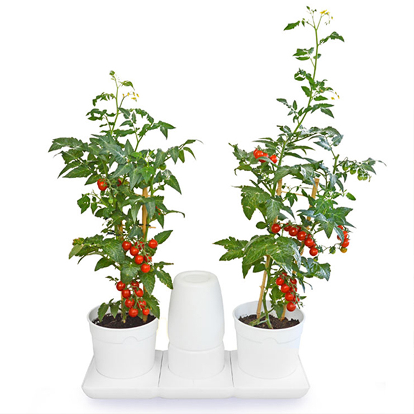 Bộ Chậu Trồng Cây Văn Phòng Thông Minh Tự Động Tưới Basic S mang phong cách Châu Âu,