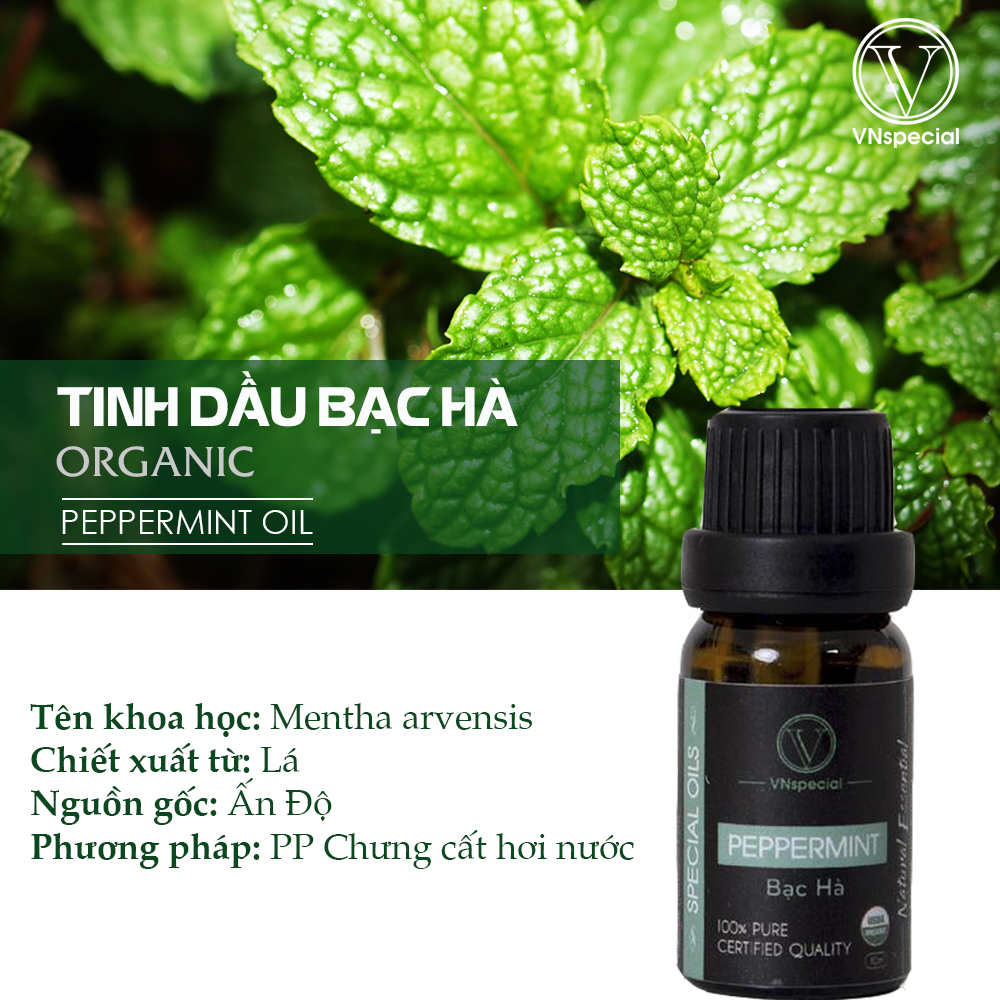 Tinh Dầu Hữu Cơ Bạc Hà | Organic Organic Peppermint Oil | Tinh dầu Nhập Khẩu USDA - Vnspecial Oils (10ml)