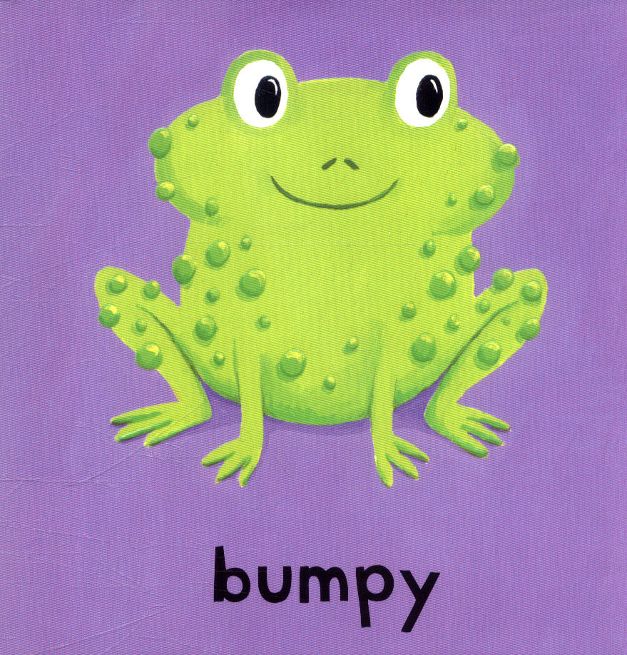 Campbell Animals (Series A Bumpy Book)