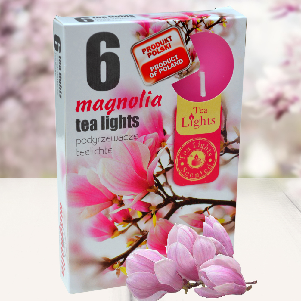 Hộp 6 nến thơm tinh dầu Tealight Admit Magnolia QT026077 - hoa mộc lan