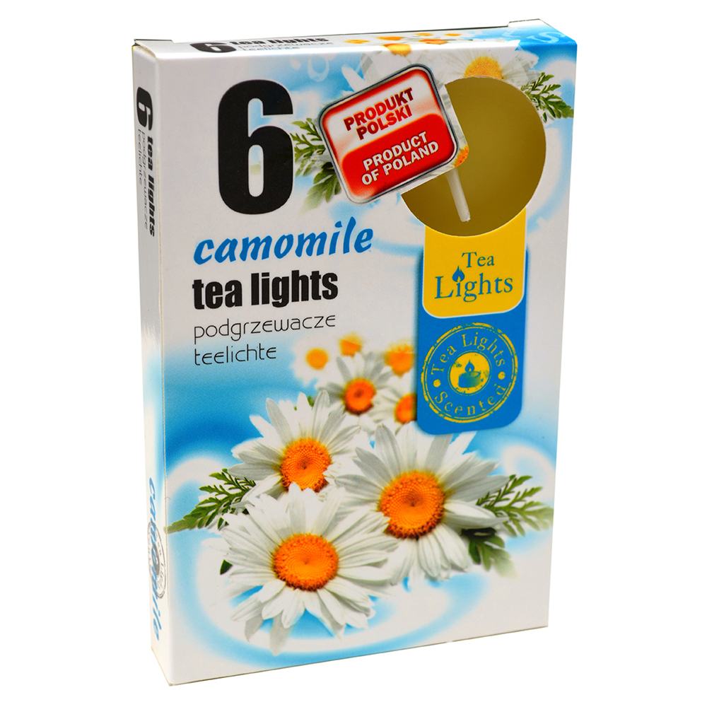 NẾN TEALIGHTS HOA CÚC LA MÃ ADMITPTT026110