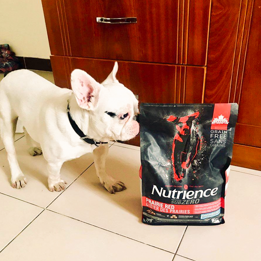 Thức Ăn Tự Nhiên Cho Chó Nutrience Subzero Bao 2,27kg Thịt Gà Tây, Cá Hồi, Cá Trích, Cá Tuyết, Rau Củ &amp; Trái Cây Tự Nhiên