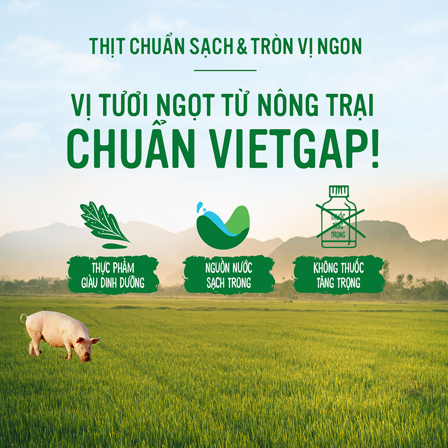 Hạt nêm KNORR thịt thăn - xương ống và tủy 900g (gói) - [8934707029182]