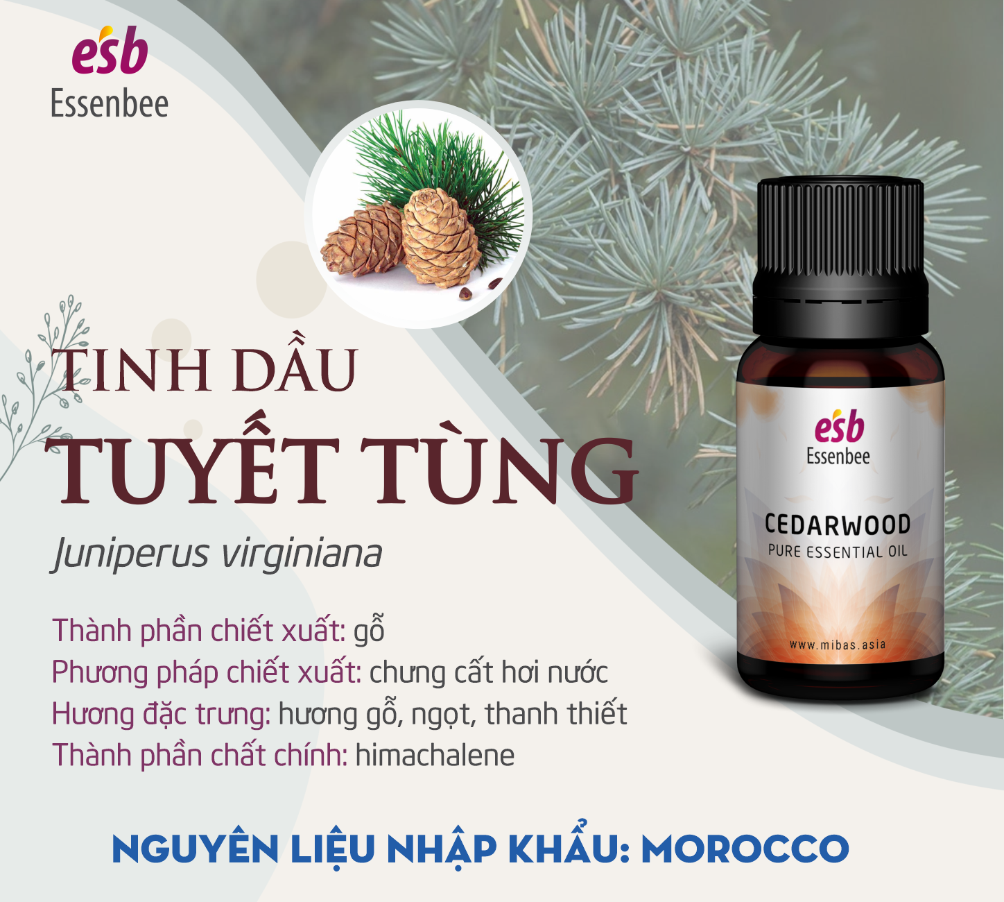 Tinh dầu nguyên chất gỗ Tuyết Tùng – Essenbee – 20ml