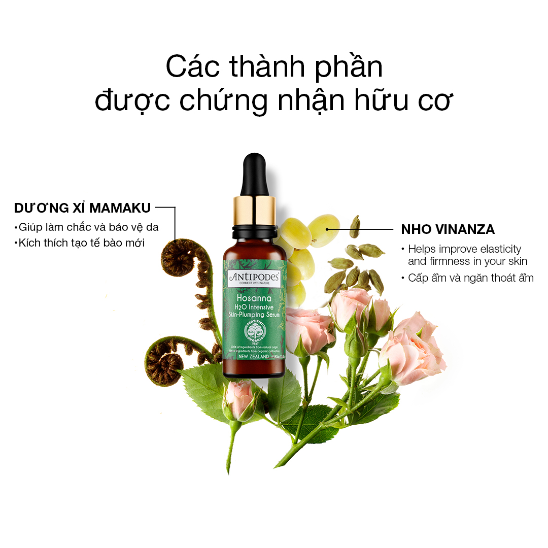 Serum Dưỡng Ẩm Da Antipodes Hosanna H20 Intensive Skin-Plumping Serum 30ml