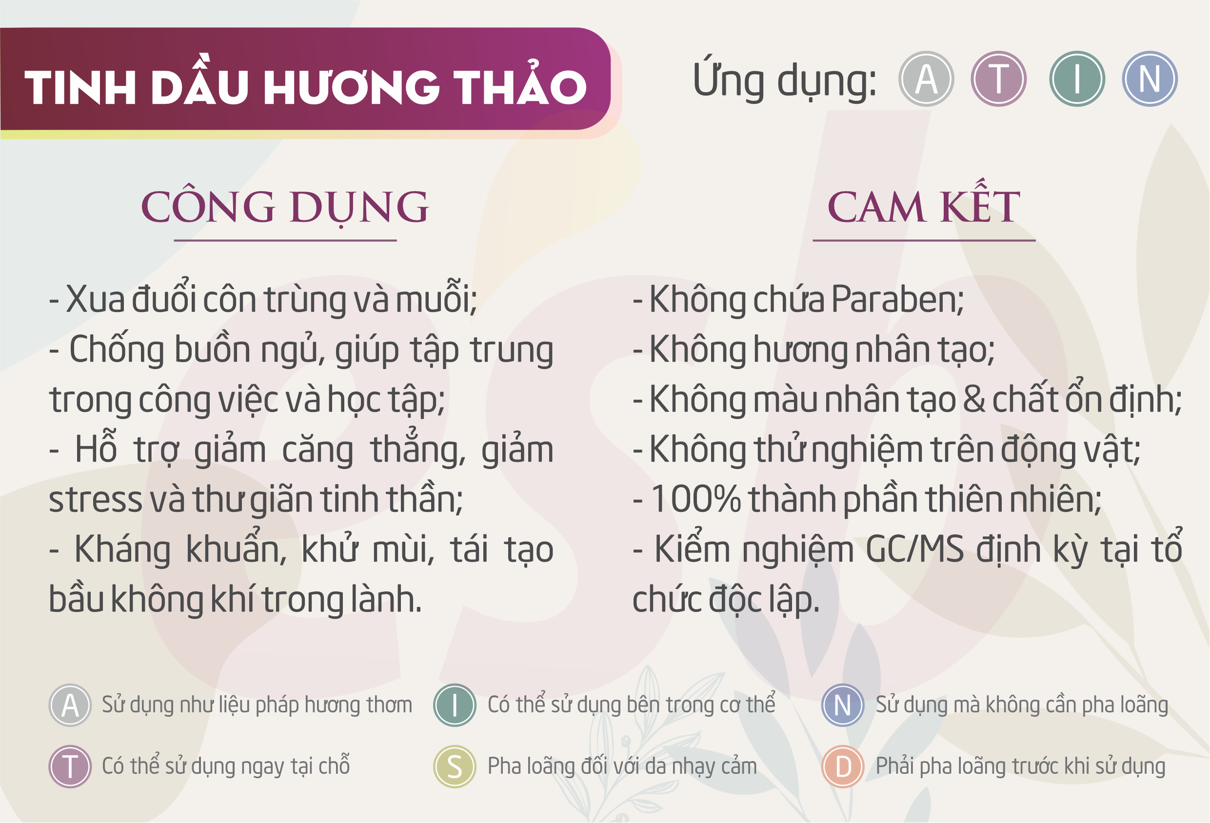 Tinh dầu Hương Thảo (Rosemary) – Essenbee – 20ml - 100% nguyên chất, hỗ trợ thư giãn tinh thần hiệu quả và xua đuổi muỗi an toàn