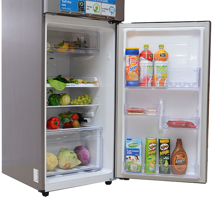 Tủ lạnh Samsung Inverter 234 lít RT22FARBDSA