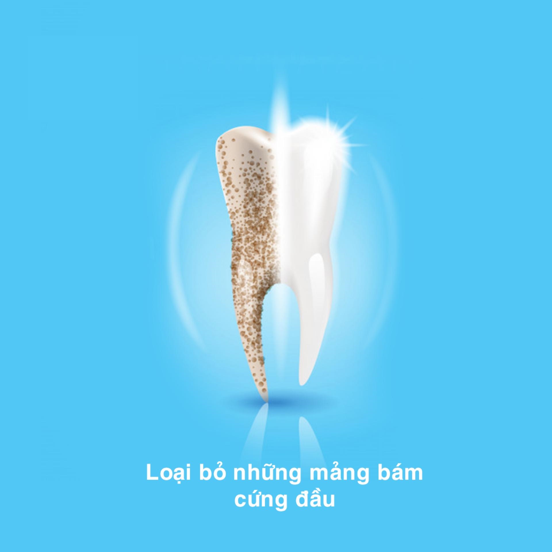 Combo Chăm Sóc Răng Miệng Toàn Diện (Vỉ 3 Bàn Chải Đánh Răng ORAL-B 7 Tác Động (Mua 2 Tặng 1) + Chỉ Nha Khoa ORAL-B Essential Mint (Hộp 50m)