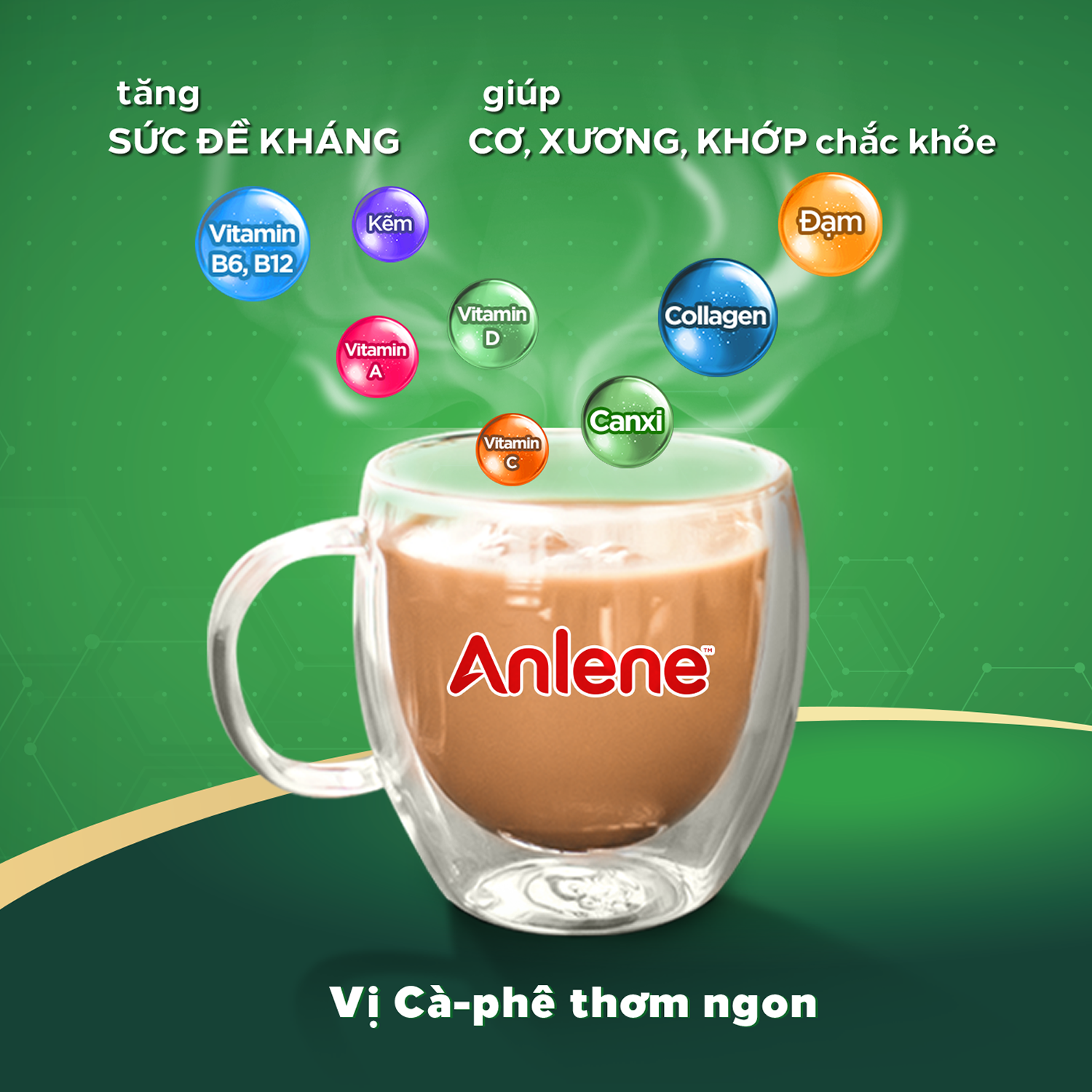 Combo 2 Sữa Bột Anlene Cà Phê Hộp 310g