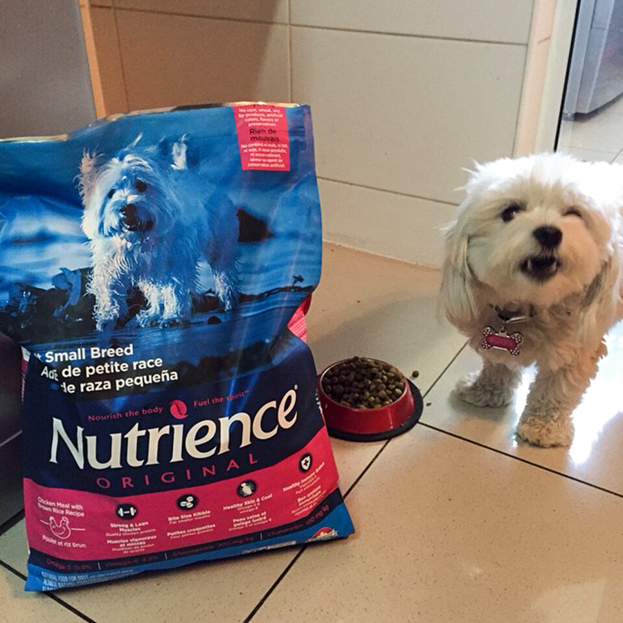 Thức Ăn Cho Chó Poodle Nutrience Infusion 2.27kg - Thịt Gà, Rau Củ Và Trái Cây Tự Nhiên