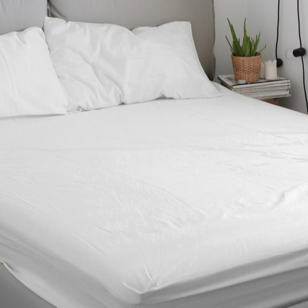 Bộ drap giường cotton trắng A cao cấp