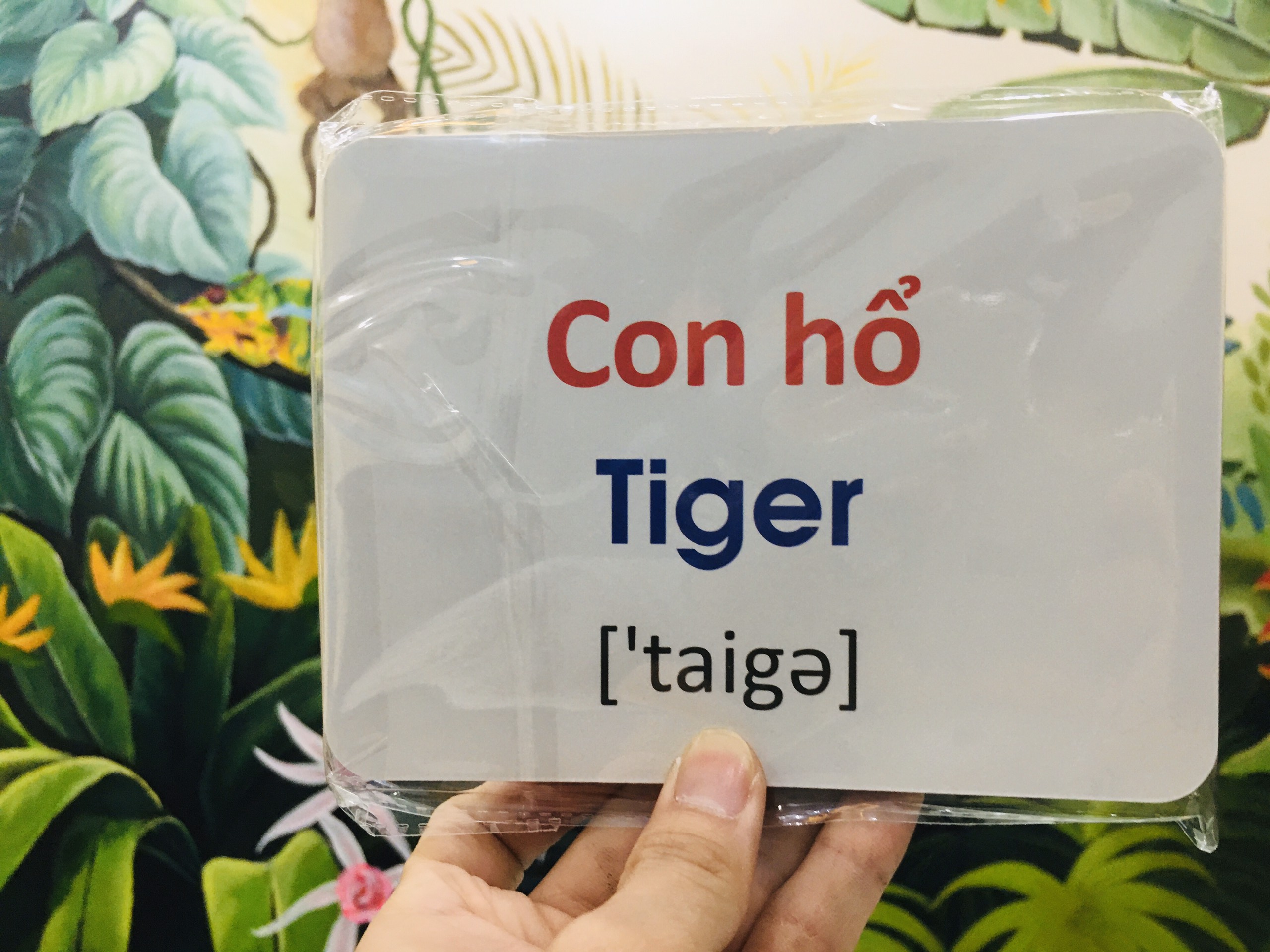 Thẻ Học Thông Minh Flashcard Song Ngữ Cho Bé