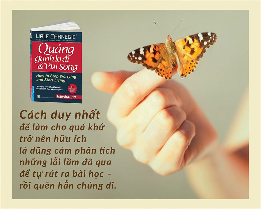 Quẳng Gánh Lo Đi Và Vui Sống (Tái Bản 2016)