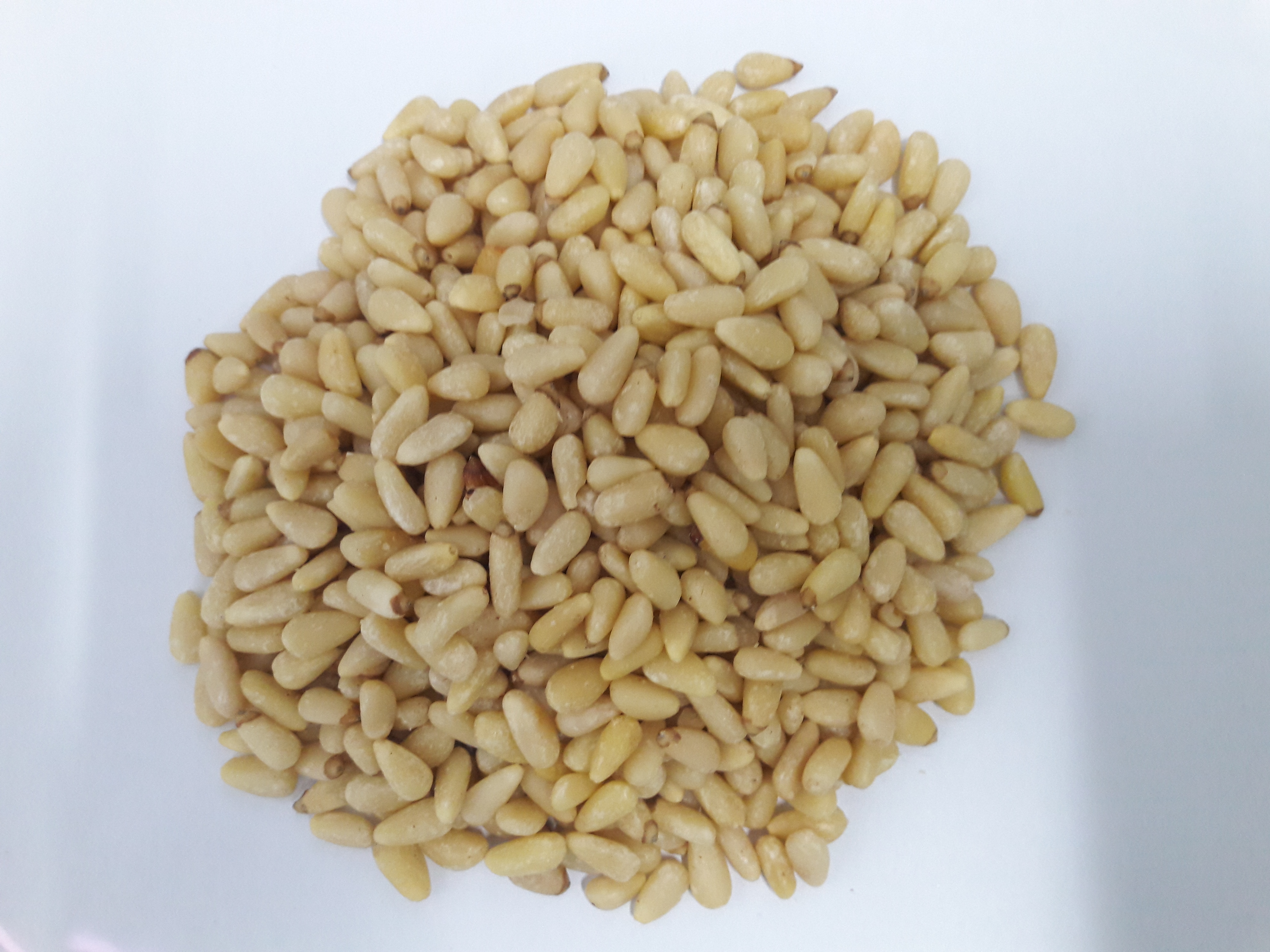 HẠT THÔNG TÁCH VỎ - RAW PINE NUTS – 1kg