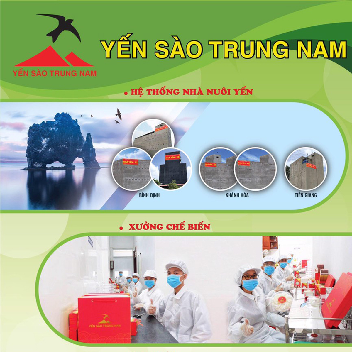 Tổ Yến Sào Tinh Chế Yến Sào Trung Nam