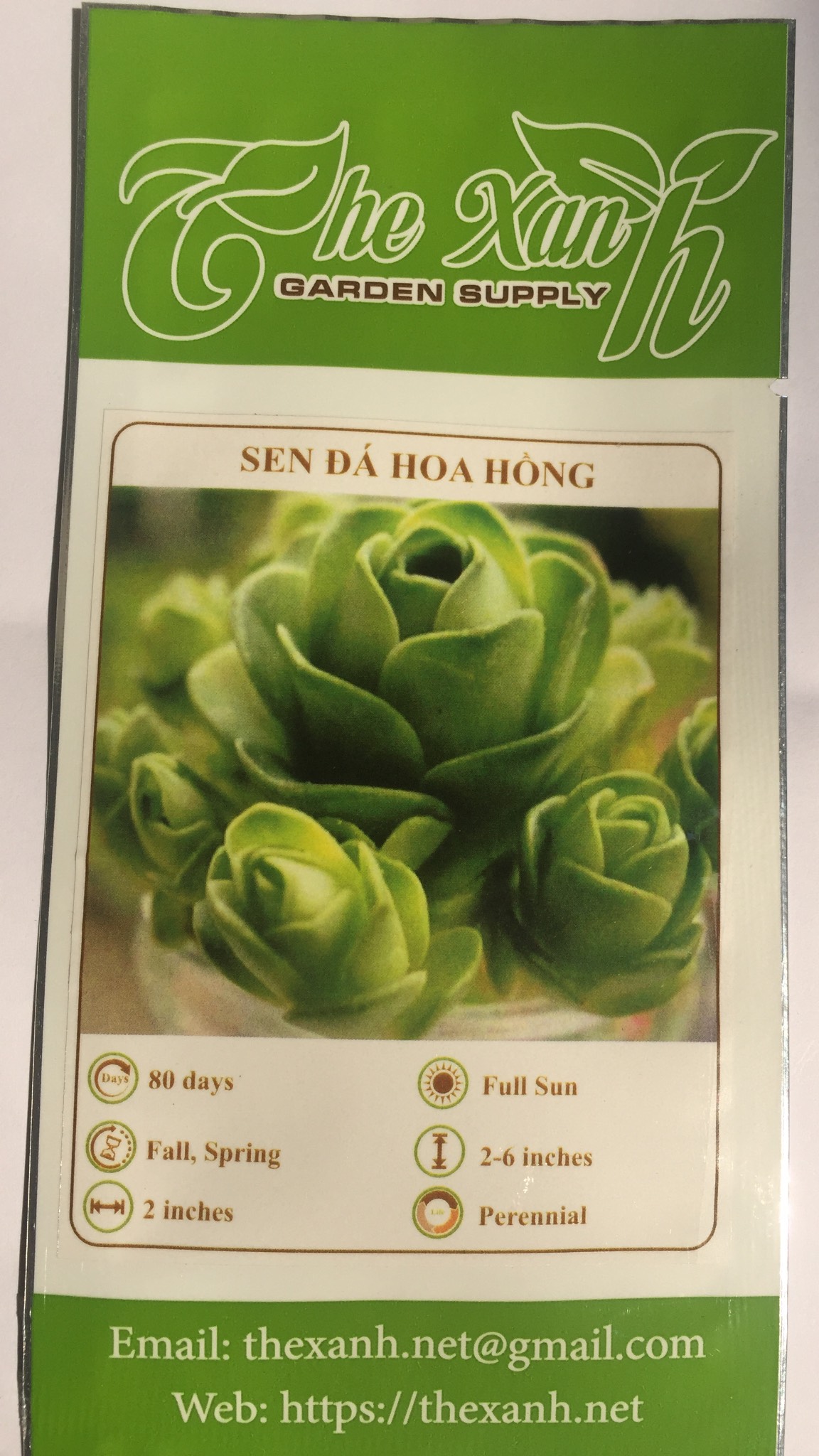 Bộ 1 gói hạt giống Sen Đá hoa hồng