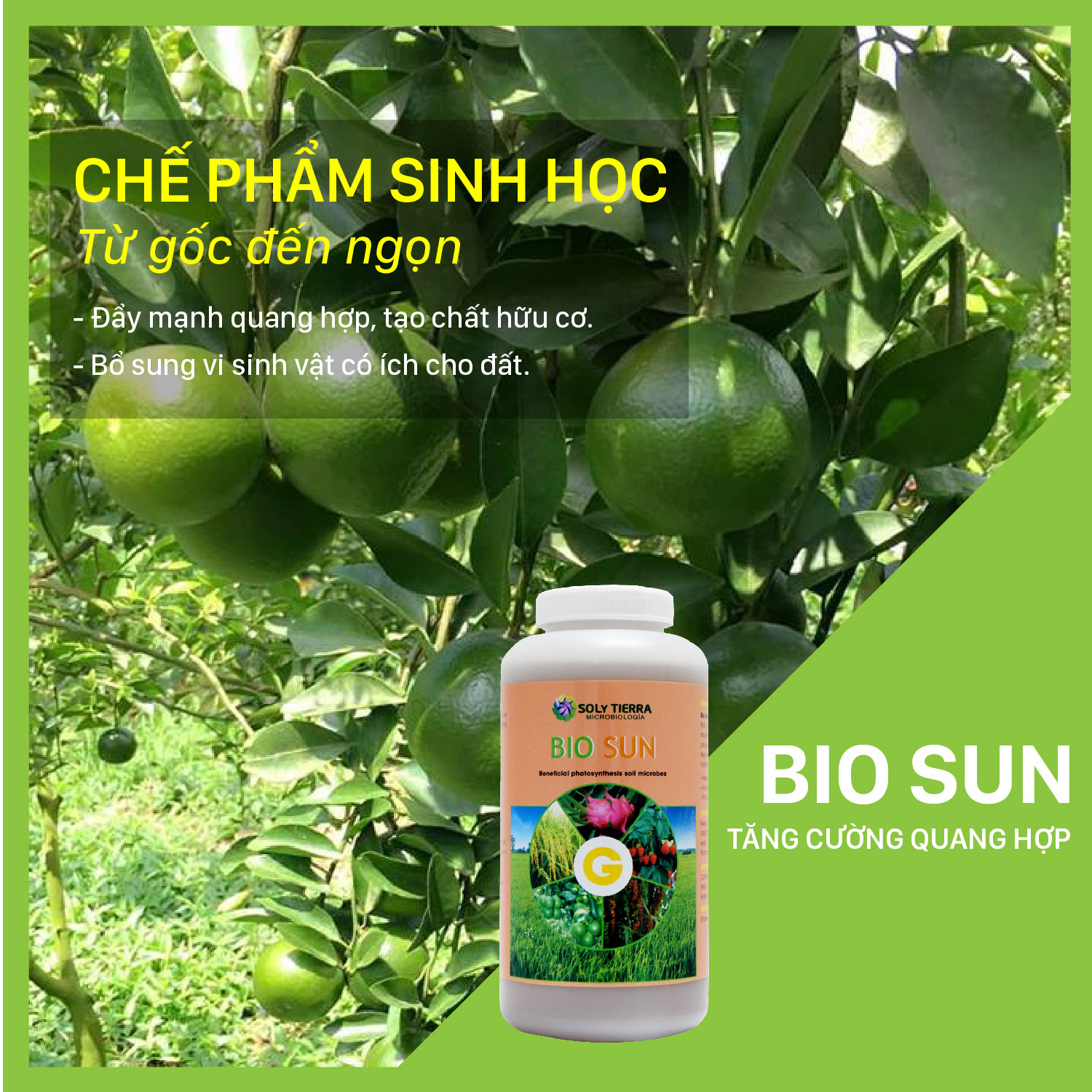 Vi sinh tăng cường, bổ sung quang hợp cho cây Bio Sun NSX Soly Tierra  - Chai 1 quarter (≈ 1 lít)