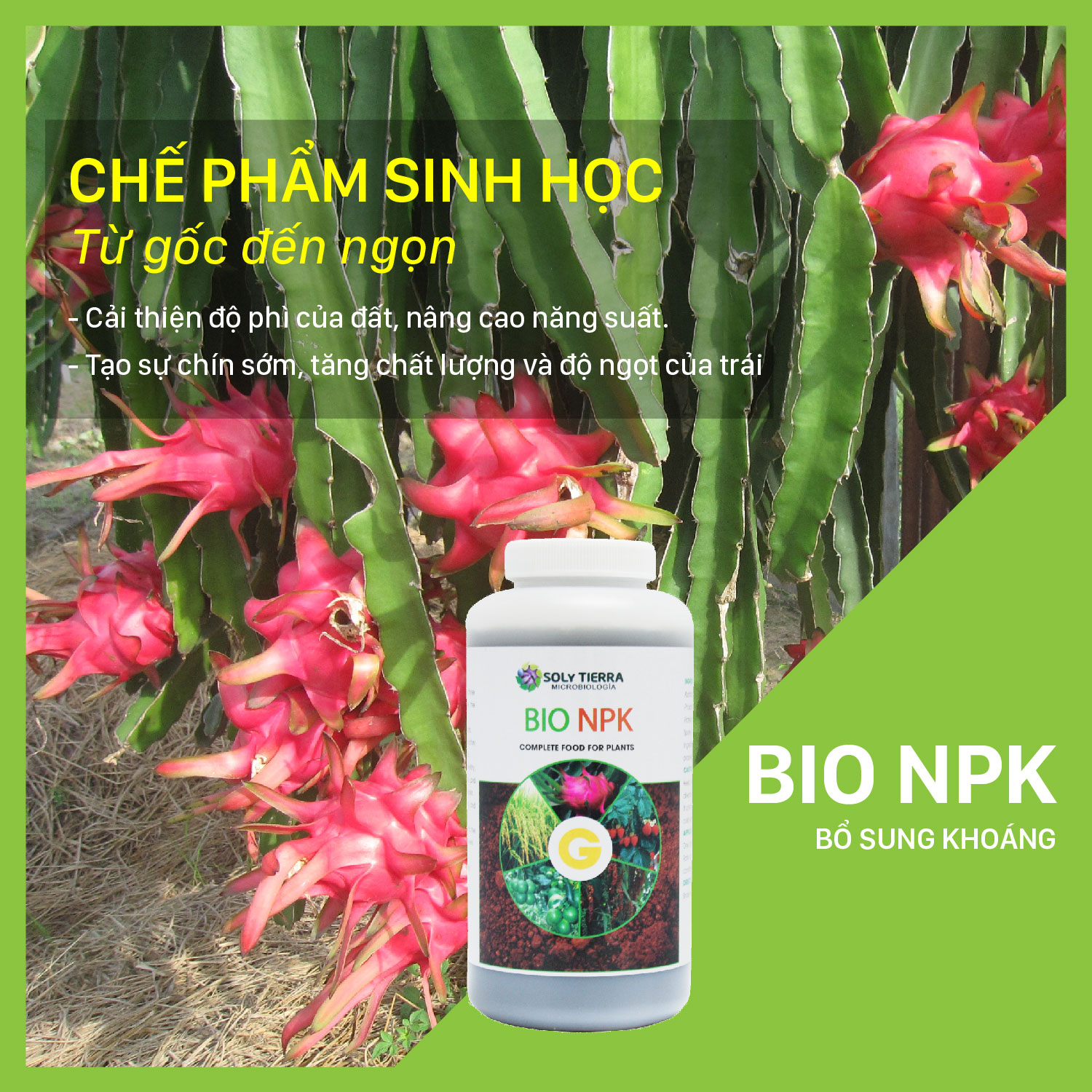 Bio NPK giúp cây hấp thụ tốt NPK, tăng độ ngọt trái chai 1 lít