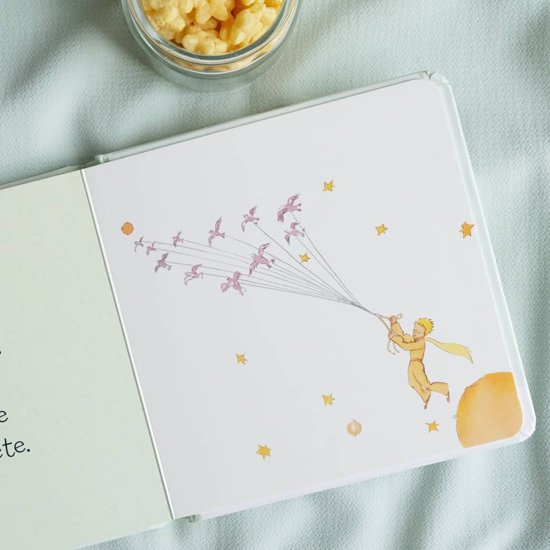 Meet The Little Prince (In French Too)