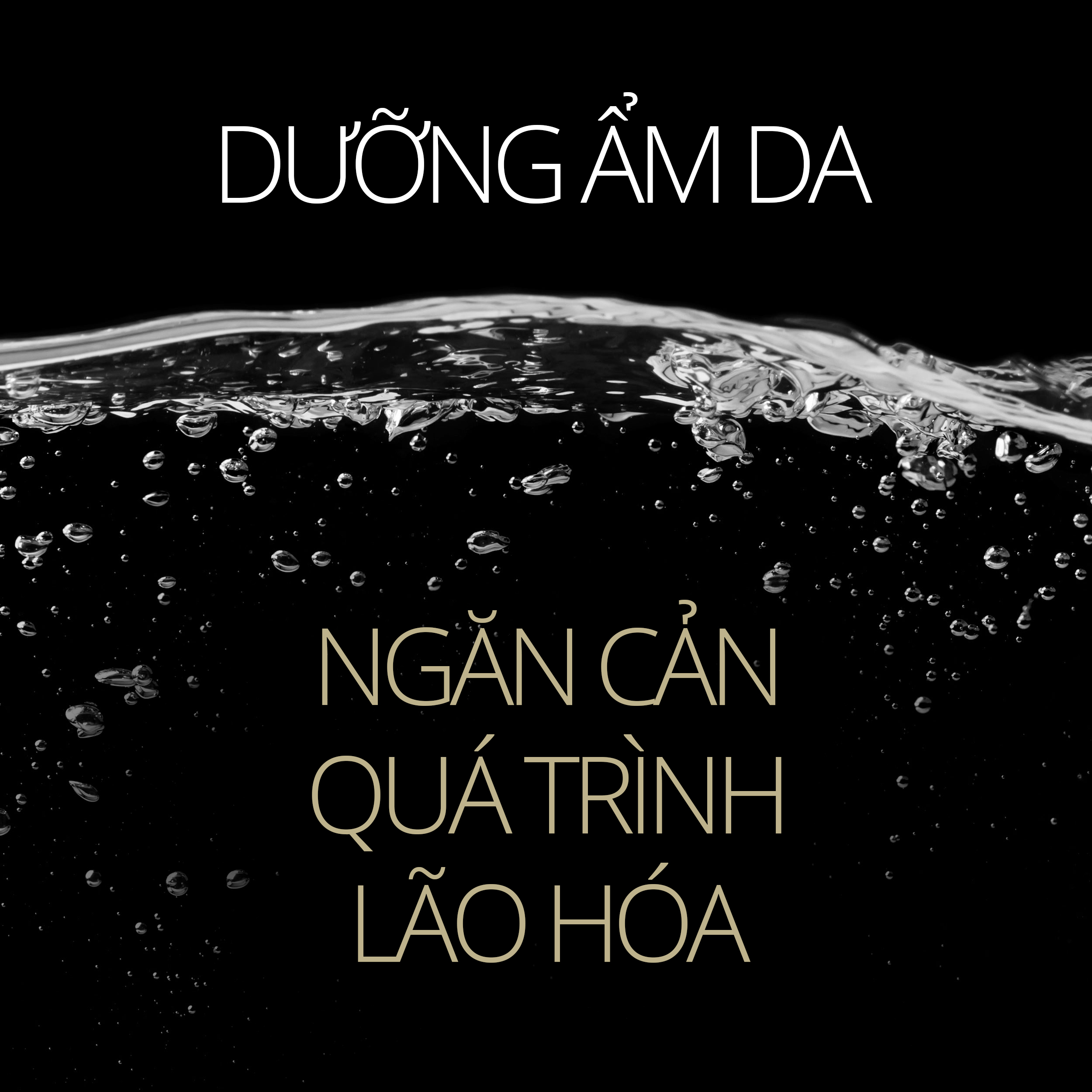 [Tặng Bông Tẩy Trang Silcot] Hộp Quà Olay Ngăn Ngừa 7 Dấu Hiệu Lão Hóa (Kem Dưỡng Ban Ngày Olay Total Effects 50g + Kem Dưỡng Ban Đêm Olay Total Effects 50g)