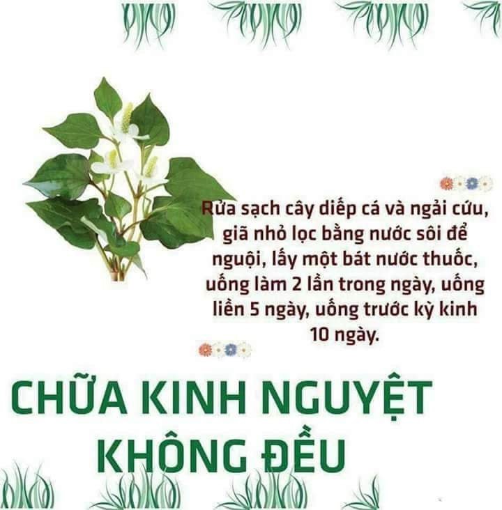 Bột Diếp Cá Nguyên Chất Mẹ Ken 100g