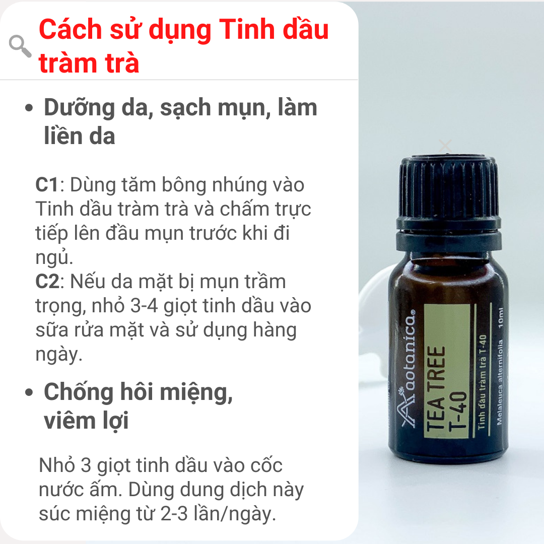 Combo 5 tinh dầu phân đoạn Aotanica, giải cảm, tràm gió, tràm trà, sả chanh, bưởi 1ml