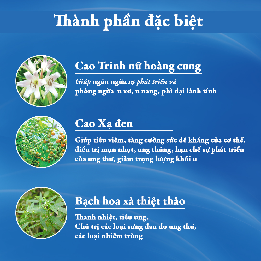 Viên uống hỗ trợ phòng ngừa và giảm kích thước u nang, u xơ An Nữ Đan (Hộp 60 viên)