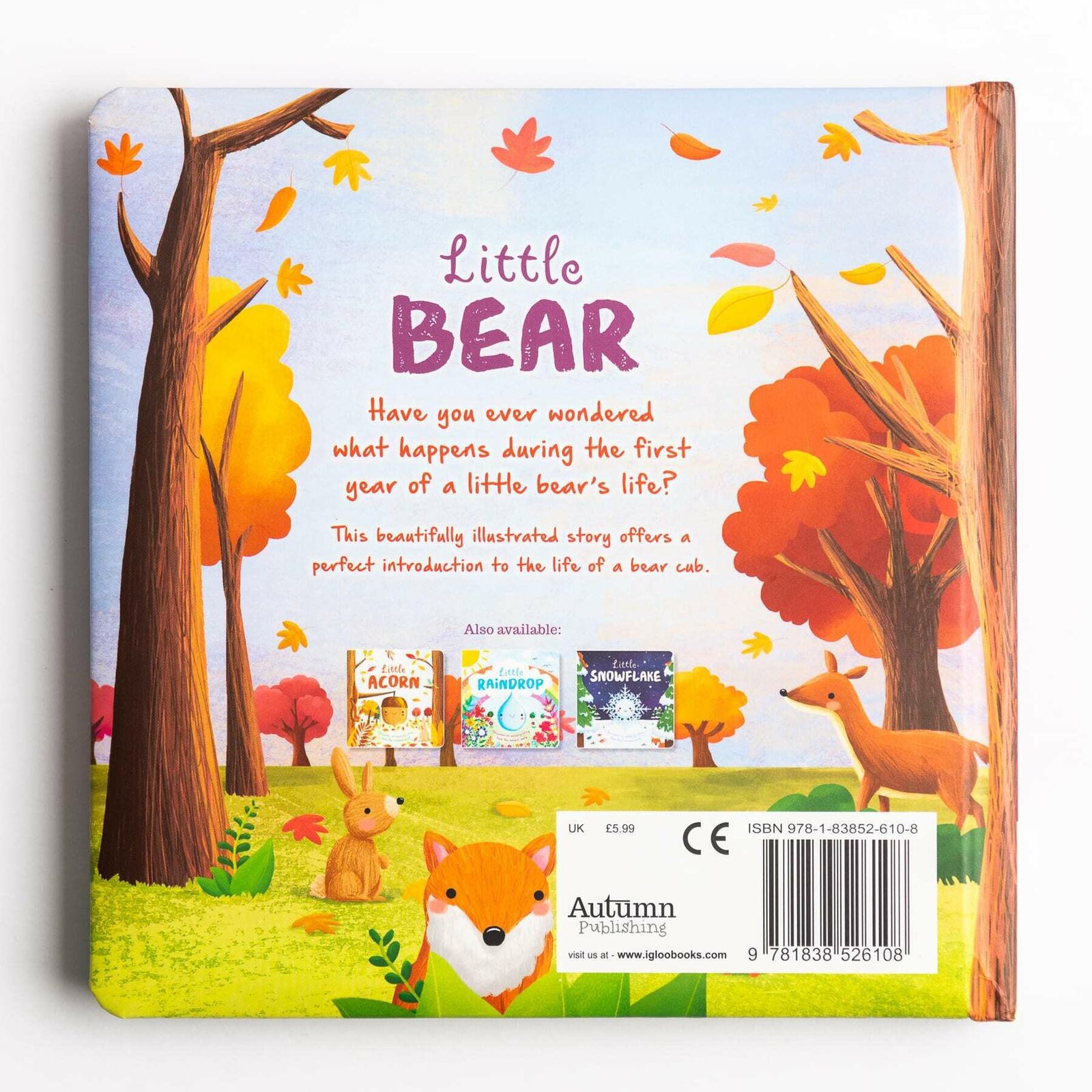 Little Bear (Discover an Amazing Story From The Natural World)