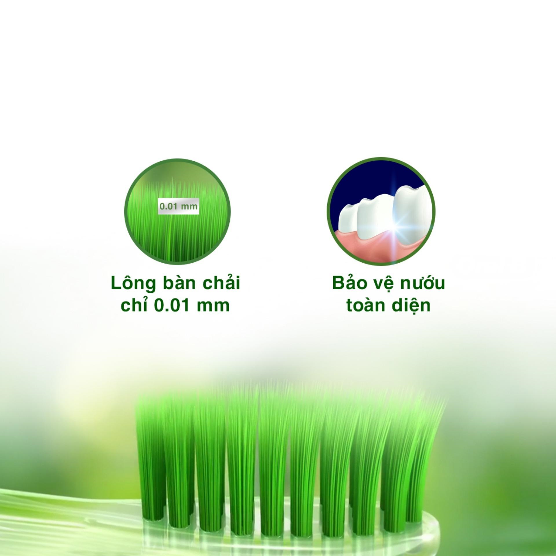 Bàn chải Oral-B Trà Xanh 3 cây