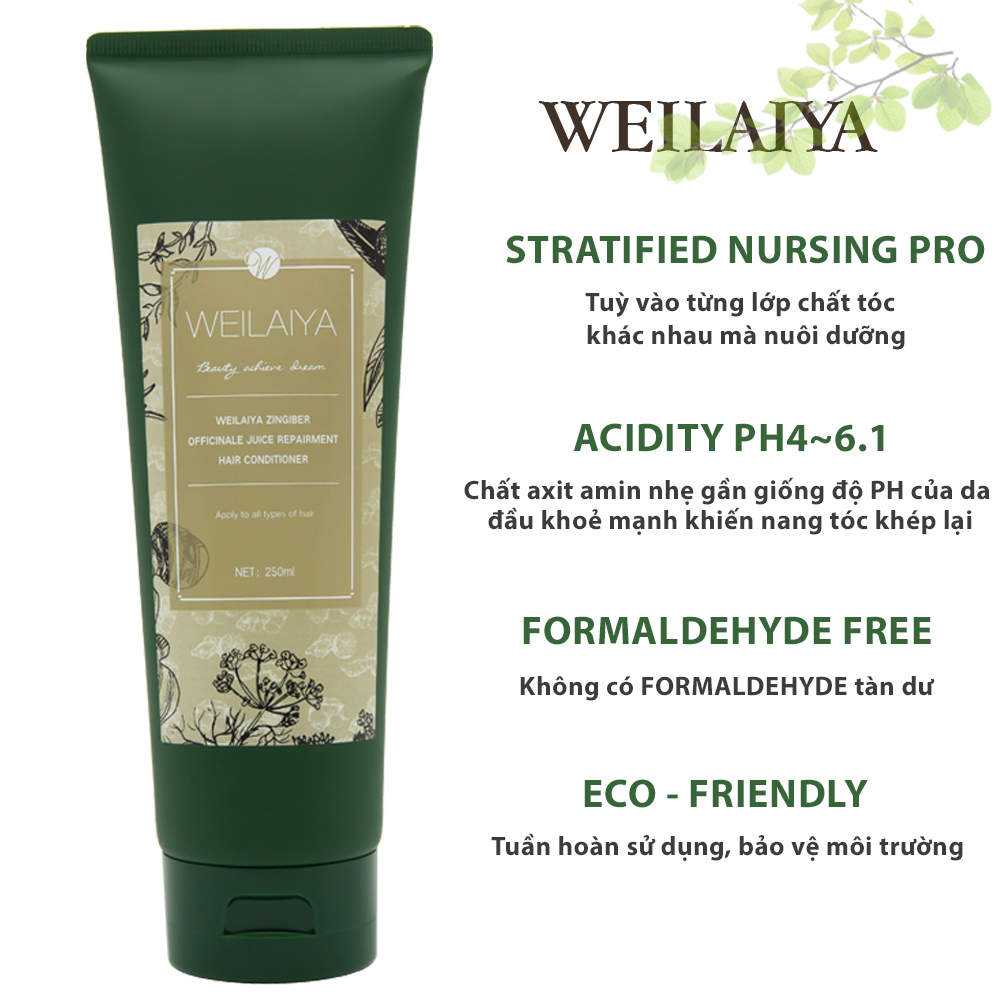 Dầu Xả Weilaiya Tinh Chất Gừng Kết Hợp Hà Thủ Ô Organic Cao Cấp hỗ trợ điều trị Rụng Tóc, Kích Thích Mọc Tóc Giảm Tóc Gãy Rụng, Dành Cho Loại Tóc Hư Tổn Xơ Gãy - Sản phẩm chính hãng